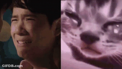 Close Up Of Person Crying Next To Cat GIF