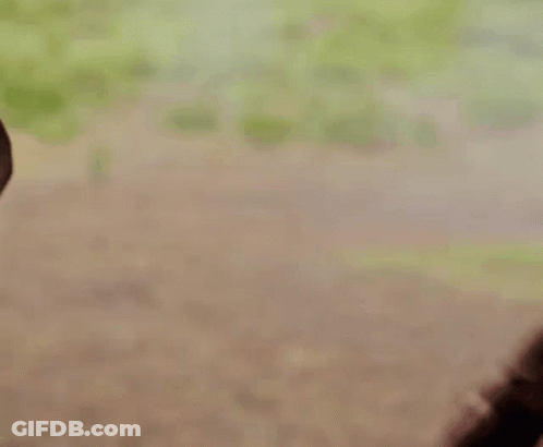 Close Up Of Person Holding Another's Hand GIF