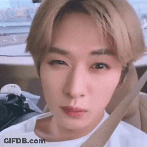 Close Up Of Person In Car With Seat Belt GIF