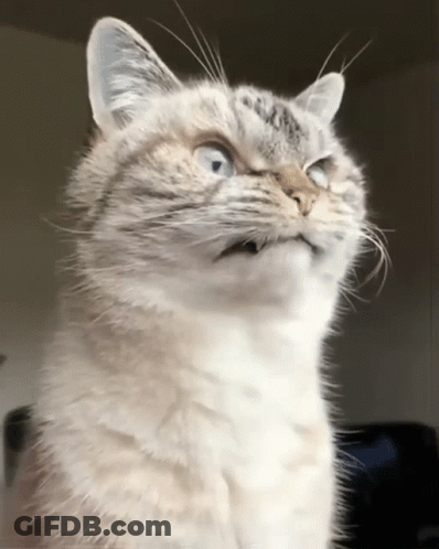Close Up Of Person's Face GIF
