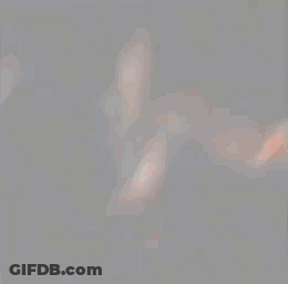 Close Up Of Person's Face And Neck GIF