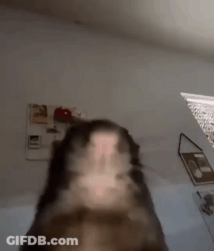 Close Up Of Person's Face GIF