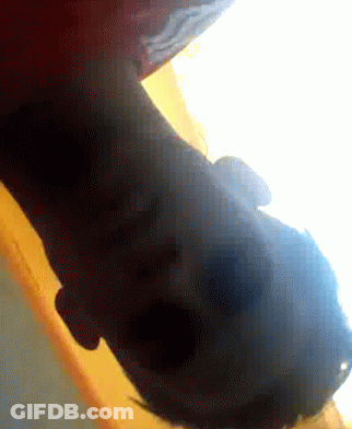 Close Up Of Person's Face With Sun GIF
