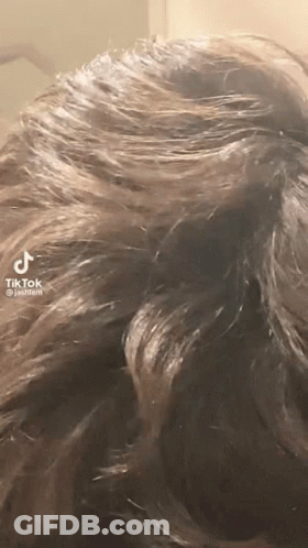 Close Up Of Person's Hair With TikTok Logo GIF