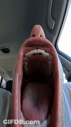 Close Up Of Person's Mouth In Car GIF