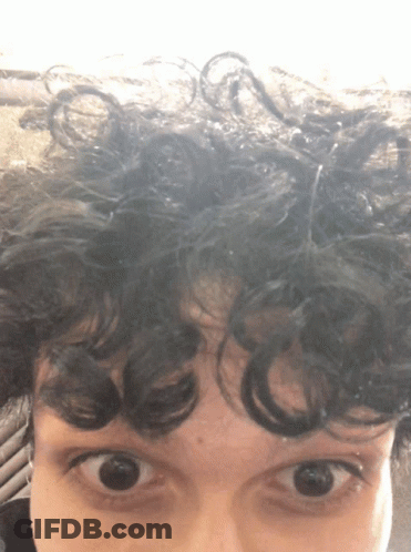 Close Up Of Person With Curly Hair GIF