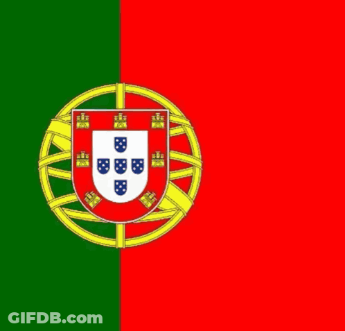 Close Up Of Person With Portuguese Flag GIF