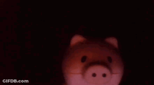 Close Up Of Piggy Bank In The Dark GIF
