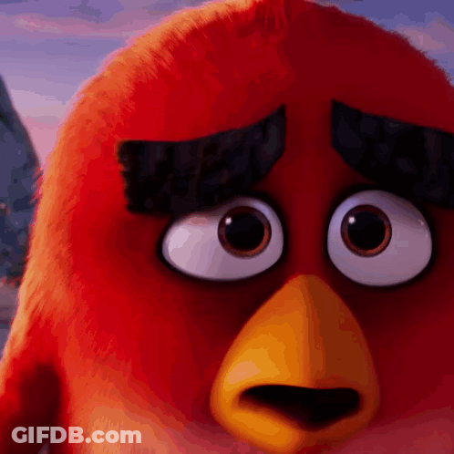 Close Up Of Red Angry Bird With Big Eyes GIF