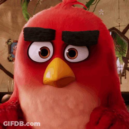 Close Up Of Red Angry Bird With Big Eyes GIF