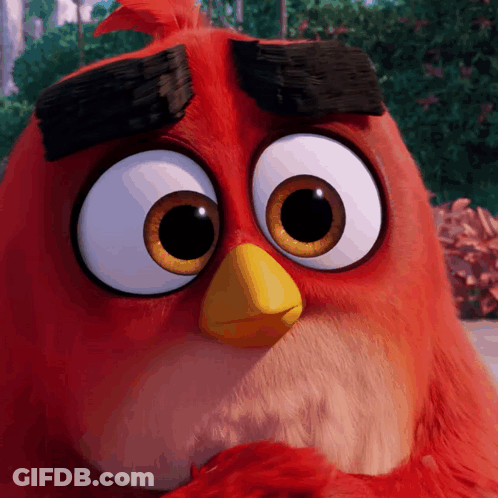 Close Up Of Red Angry Bird With Big Eyes And Yellow Beak GIF