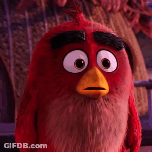 Close Up Of Red Angry Bird With Big Eyes GIF