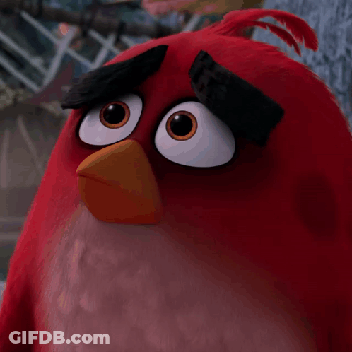 Close Up Of Red Bird With Black Eyebrow GIF