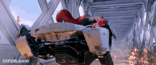 Close Up Of Red Spider Web With Black Spider GIF