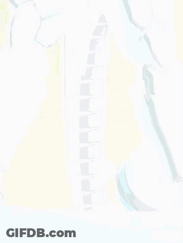 Close Up Of Robot Legs And Tail GIF