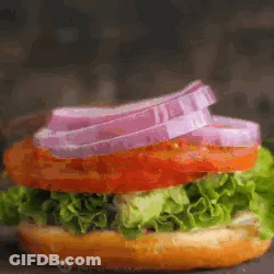 Close Up Of Sandwich With Lettuce Tomato And Onions On Bun GIF