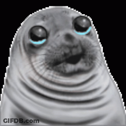 Close Up Of Seal Face With Tears GIF