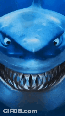 Close Up Of Shark Mouth And Teeth GIF