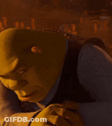 Close Up Of Shrek GIF