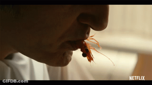 Close Up Of Shrimp With Make GIFs Watermark GIF