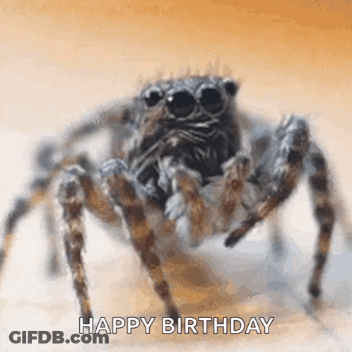 Close Up Of Spider Saying Happy Birthday GIF