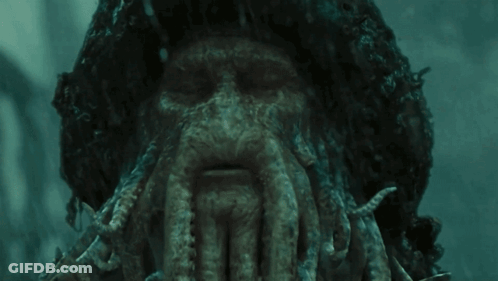 Close Up Of Squid Face With Tentacles GIF