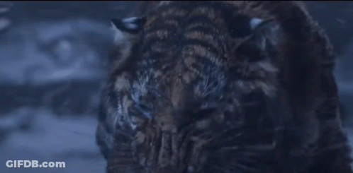 Close Up Of Tiger Face With Smoke GIF
