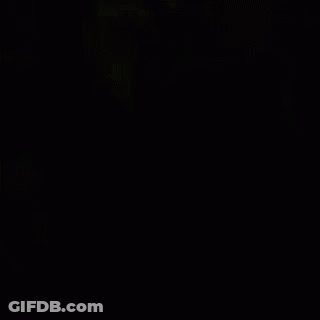 Close Up Of Tree With Leaves And Branches GIF