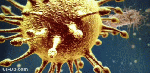 Close Up Of Virus With Blue Background GIF