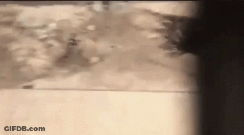 Close Up Of Wall Painting GIF