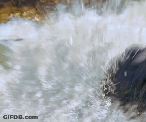 Close Up Of Waterfall With Water Flowing Down GIF