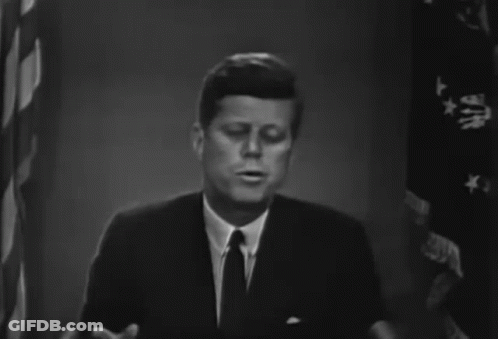 Close-Up Of White Dog With Black Nose GIF