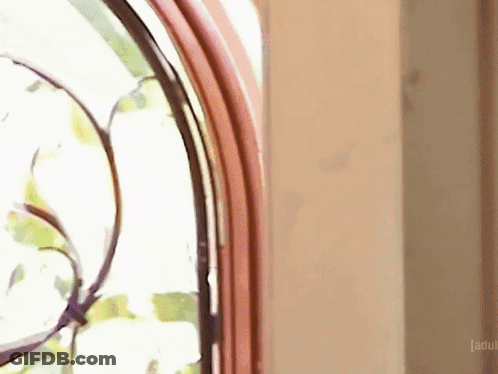 Close Up Of Window With Adult On Corner GIF