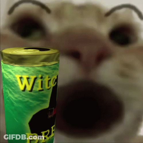 Close Up Of Witch Brew Can Next To Cat GIF