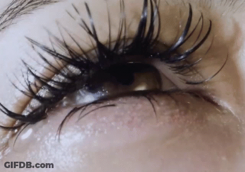 Close Up Of Woman's Eye With Long Black Lashes GIF