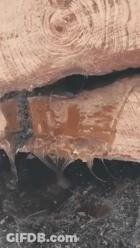Close Up Of Wood With Water Drops GIF