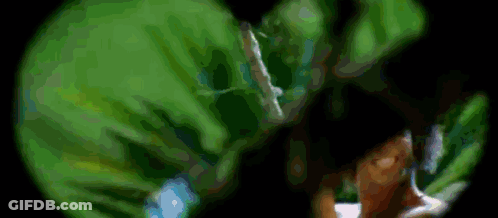 Close Up Person In Green Hoodie GIF