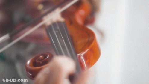 Close-Up Person Playing Violin GIF