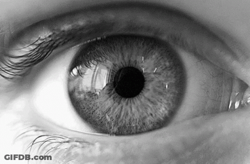 Close-Up Person's Eye Black And White GIF