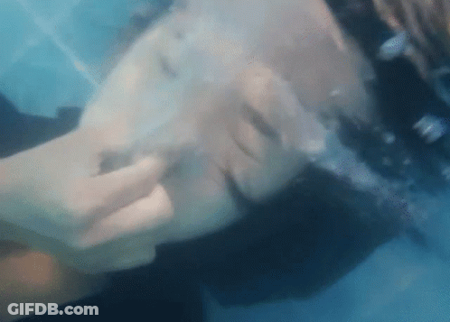 Close Up Person's Face Underwater GIF