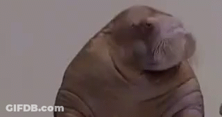 Close Up Person's Head Indeed Indeed Indeed Indeed GIF