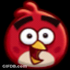 Close Up Red Angry Bird Big Eyes GIF