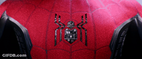 Close Up Red Spider Web With Black Spider GIF