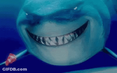 Close-Up Shark Face With Clown Fish GIF