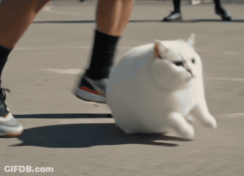 Close-Up Shoulder With Lines GIF