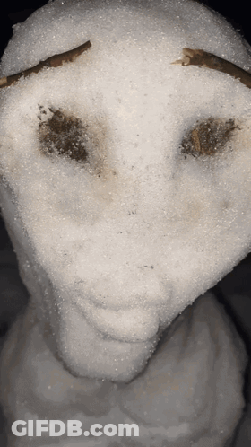 Close Up Snowman Face With Snow GIF