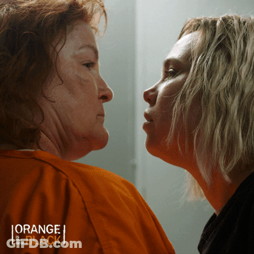 Close Up Stare Down Orange New Black GIF