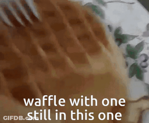 Close Up Waffle With Text GIF