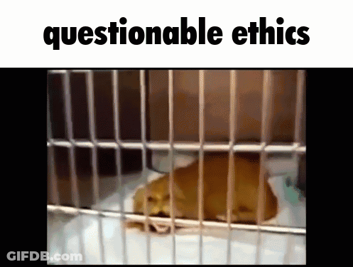Close Up Woman Saying All Of It GIF