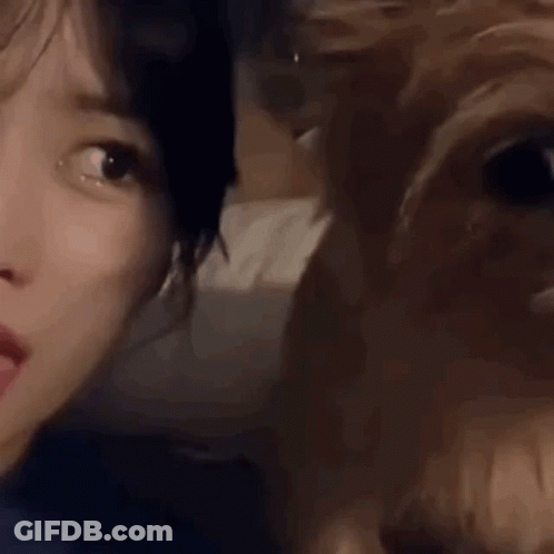 Close-Up Woman With Dog Behind GIF
